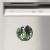 Aimant clydesdale et filly (In Situ (Lave-vaisselle))