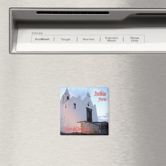 Aimant CMP080 ISCHIA, Forio, Campanie, Italie, Frigo (In Situ (Lave-vaisselle))