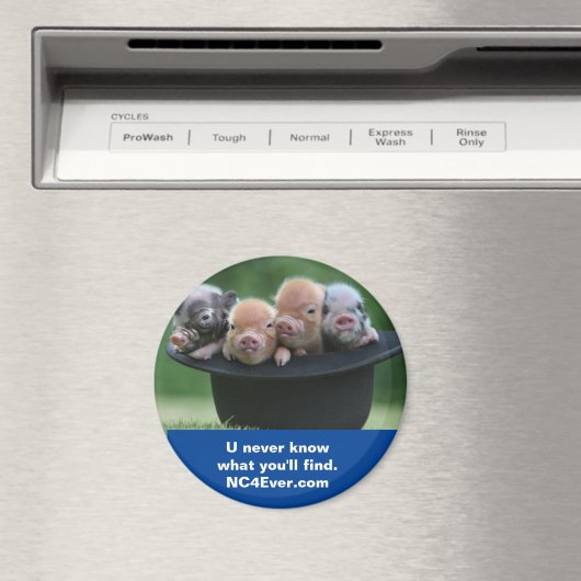 Aimant CN Shelby (In Situ (Lave-vaisselle))