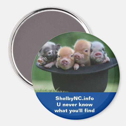 Aimant CN Shelby (Recto/Verso)