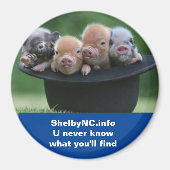 Aimant CN Shelby (Devant)