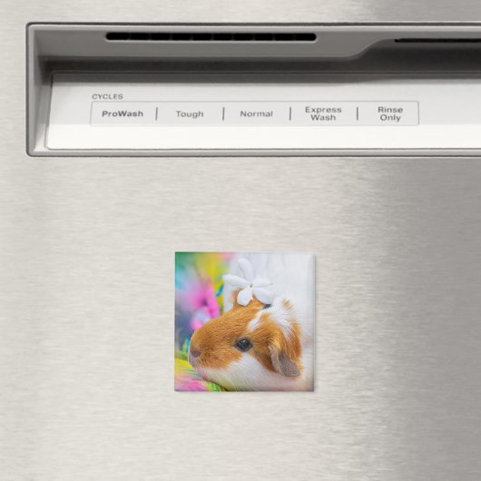 Aimant cobaye-5924328 (In Situ (Lave-vaisselle))