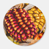 Aimant Cobs de maïs (Devant)