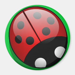 Aimant coccinelle