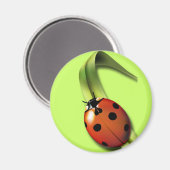 Aimant Coccinelle (Recto/Verso)