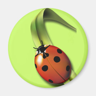Aimant Coccinelle
