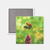 Aimant coccinelle (Recto/Verso)