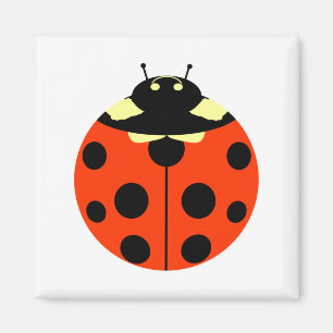 Aimant coccinelle