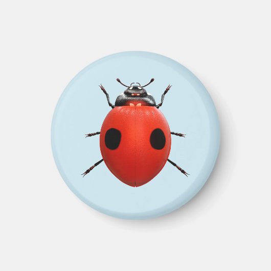 Aimant Coccinelle Chanceuse (Devant)