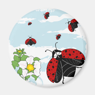 Aimant coccinelles en vol