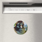 Aimant Cochin argenté Laced Cochin dans le cadre du studi (In Situ (Lave-vaisselle))