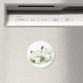 Aimant Cochin : Bantams blancs (In Situ (Lave-vaisselle))