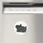 Aimant Cochin Mottled (In Situ (Lave-vaisselle))