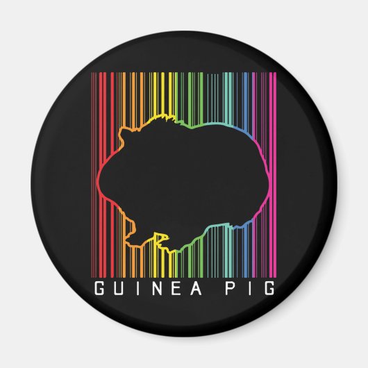 Aimant Cochon de Guinée (Devant)