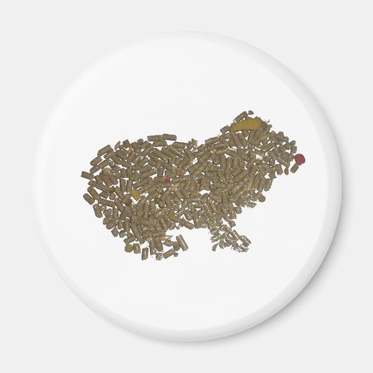 Aimant Cochon de Guinée (Devant)