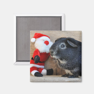 Aimant Cochon de Guinée et Père Noël