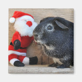 Aimant Cochon de Guinée et Père Noël (Devant)
