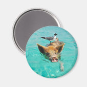 Aimant Cochon mignon nageant dans l'eau (Recto/Verso)