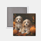 Aimant Cockapoo chiot automne délice citrouille  (Recto/Verso)