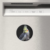 Aimant Cockatiel (In Situ (Lave-vaisselle))
