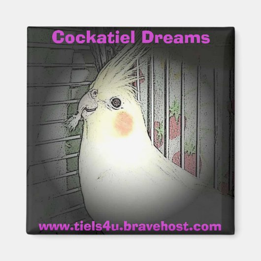 Aimant Cockatiel Dreams (Devant)