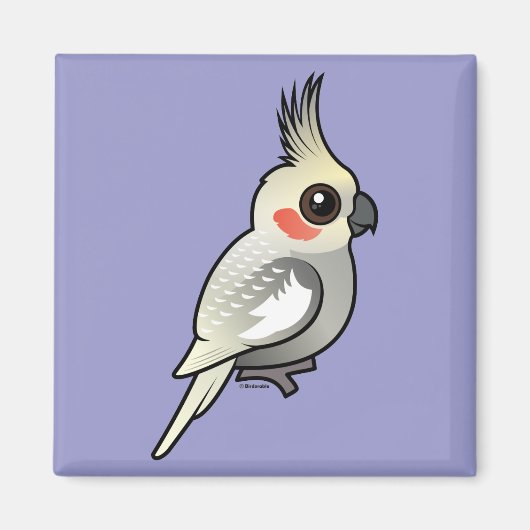 Aimant Cockatiel écorché (Devant)