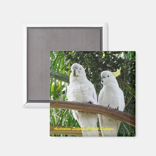 Aimant Cockatoo À Pot De Soufre Australien (Recto/Verso)