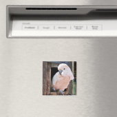 Aimant Cockatoo Moluccan (In Situ (Lave-vaisselle))