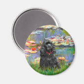 Aimant Cocker (noir) - Lys 2 (Recto/Verso)