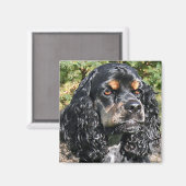 Aimant Cocker Spaniel (Recto/Verso)