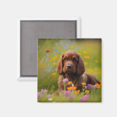 Aimant Cocker Spaniel (Recto/Verso)