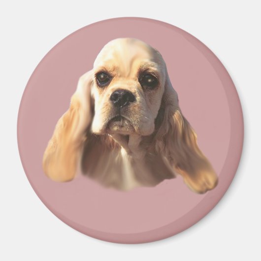 Aimant Cocker Spaniel Blondie (Devant)