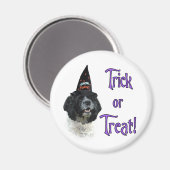 Aimant Cocker Spaniel (parti) Trick (Recto/Verso)