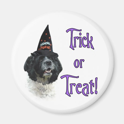 Aimant Cocker Spaniel (parti) Trick (Devant)
