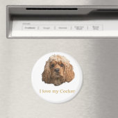 Aimant cocker Spaniels (In Situ (Lave-vaisselle))