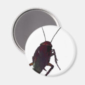 Aimant Cockroach croquant (Recto/Verso)
