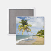 Aimant Coconut Grove Beach à Cades Bay, avec St. 2 (Recto/Verso)