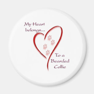 Aimant Coeur de Collie hérité