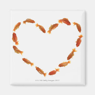 Aimant Coeur fait avec des poissons rouges