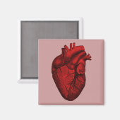Aimant Coeur humain anatomique (Recto/Verso)