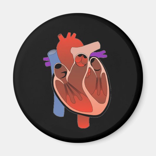 Aimant Coeur ouvert (Devant)