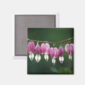 Aimant Coeurs Dainty (Recto/Verso)