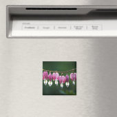 Aimant Coeurs Dainty (In Situ (Lave-vaisselle))