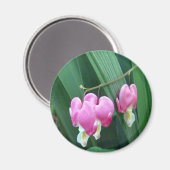 Aimant Coeurs saignants (Recto/Verso)