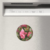 Aimant Cognassier à fleurs roses de printemps (In Situ (Lave-vaisselle))
