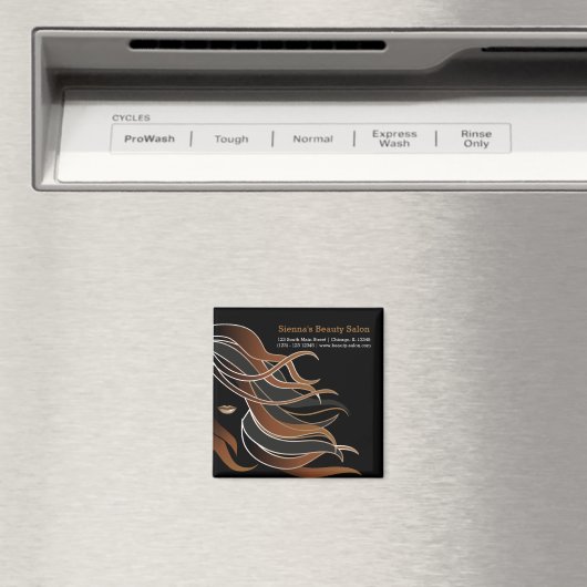 Aimant Coiffeuse (In Situ (Lave-vaisselle))