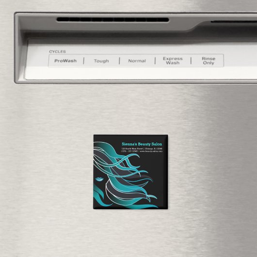 Aimant Coiffeuse (In Situ (Lave-vaisselle))