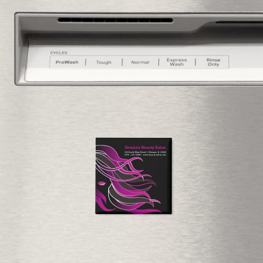 Aimant Coiffeuse (In Situ (Lave-vaisselle))