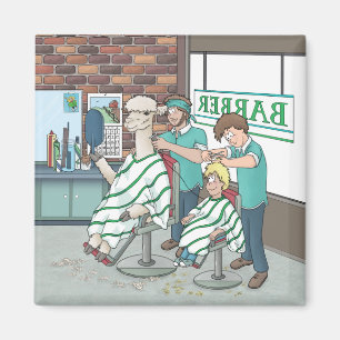 Aimant Coiffure d'Alpaca