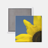 Aimant Coin tournesol jaune et bleu (Recto/Verso)